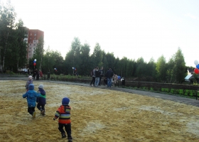 SDC16198